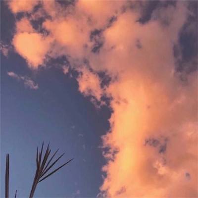 天天玩魔兽手游下载